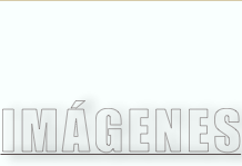 shapeimage_2_link_9
