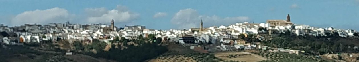 Portal Arjonero